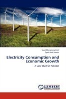 Electricity Consumption and Economic Growth