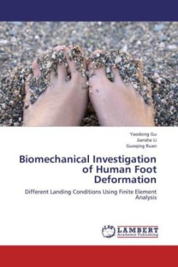 Biomechanical Investigation of Human Foot Deformation