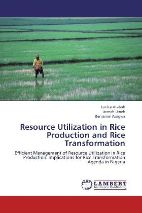 Resource Utilization in Rice Production and Rice Transformation