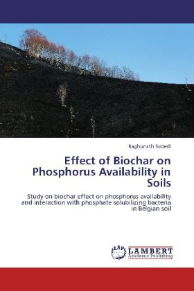 Effect of Biochar on Phosphorus Availability in Soils