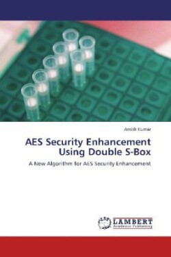 AES Security Enhancement Using Double S-Box