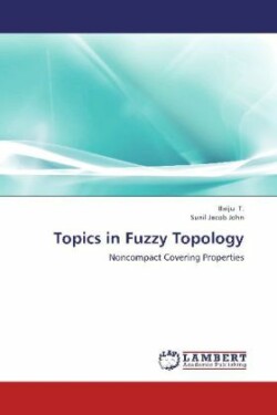 Topics in Fuzzy Topology