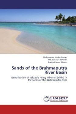 Sands of the Brahmaputra River Basin