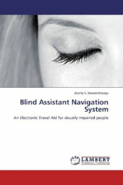 Blind Assistant Navigation System