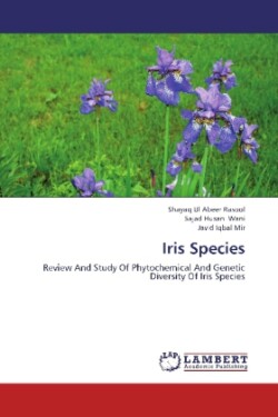 Iris Species