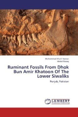 Ruminant Fossils From Dhok Bun Amir Khatoon Of The Lower Siwaliks