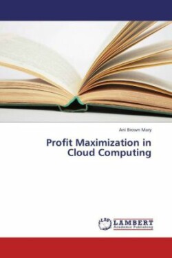 Profit Maximization in Cloud Computing