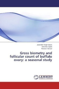 Gross biometry and follicular count of buffalo ovary