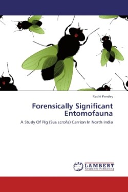 Forensically Significant Entomofauna