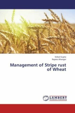 Management of Stripe rust of Wheat