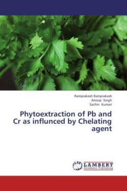 Phytoextraction of Pb and Cr as influnced by Chelating agent