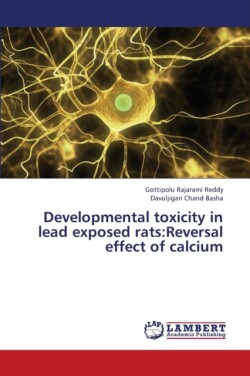 Developmental Toxicity in Lead Exposed Rats