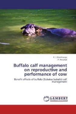 Buffalo calf management on reproductive and performance of cow