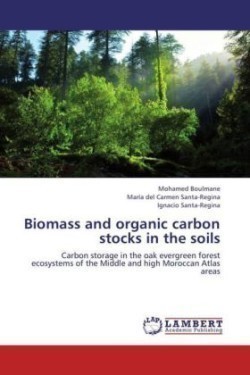 Biomass and organic carbon stocks in the soils