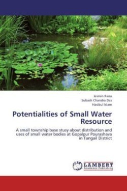 Potentialities of Small Water Resource