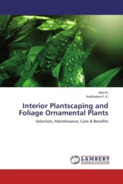Interior Plantscaping and Foliage Ornamental Plants