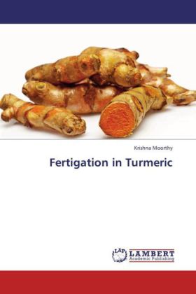 Fertigation in Turmeric