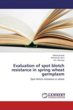 Evaluation of spot blotch resistance in spring wheat germplasm