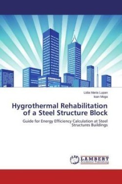 Hygrothermal Rehabilitation of a Steel Structure Block