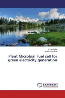 Plant Microbial Fuel Cell for Green Electricity Generation