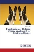 Investigation of Chitosan Efficacy as Adjuvant for Inactivated Rabies