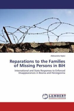 Reparations to the Families of Missing Persons in BiH