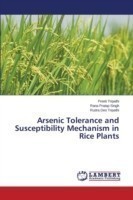Arsenic Tolerance and Susceptibility Mechanism in Rice Plants