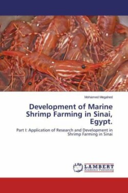 Development of Marine Shrimp Farming in Sinai, Egypt