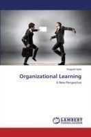 Organizational Learning