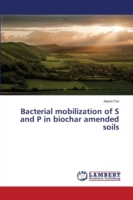 Bacterial mobilization of S and P in biochar amended soils