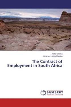 Contract of Employment in South Africa