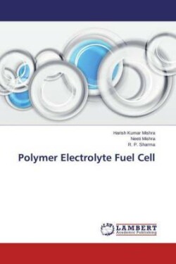 Polymer Electrolyte Fuel Cell