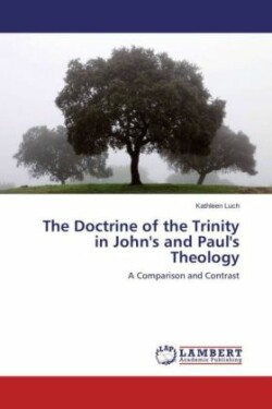 Doctrine of the Trinity in John's and Paul's Theology