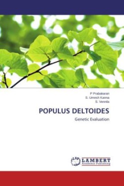 Populus Deltoides