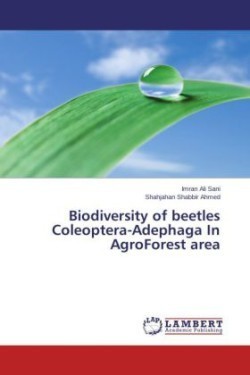Biodiversity of Beetles Coleoptera-Adephaga in Agroforest Area