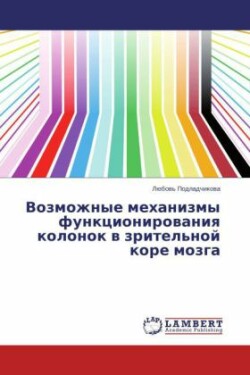 Vozmozhnye mekhanizmy funktsionirovaniya kolonok v zritel'noy kore mozga