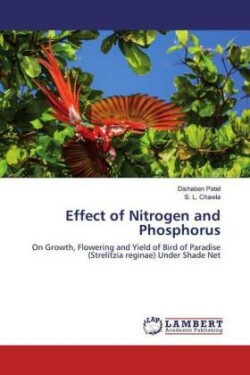 Effect of Nitrogen and Phosphorus