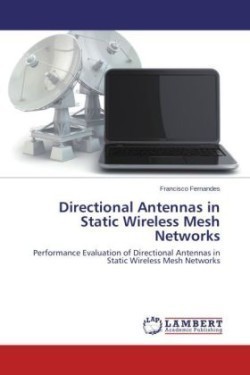 Directional Antennas in Static Wireless Mesh Networks