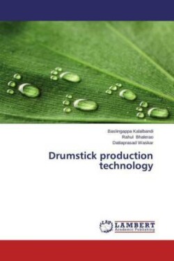 Drumstick production technology