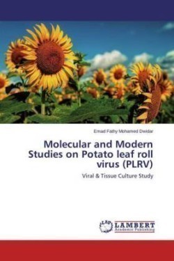 Molecular and Modern Studies on Potato leaf roll virus (PLRV)