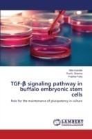 TGF-β signaling pathway in buffalo embryonic stem cells