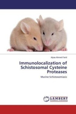 Immunolocalization of Schistosomal Cysteine Proteases