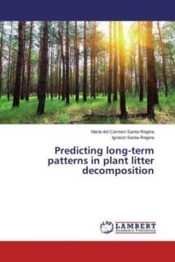 Predicting Long-Term Patterns in Plant Litter Decomposition