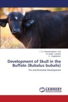 Development of Skull in the Buffalo (Bubalus bubalis)
