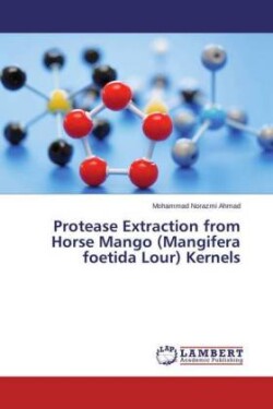 Protease Extraction from Horse Mango (Mangifera foetida Lour) Kernels