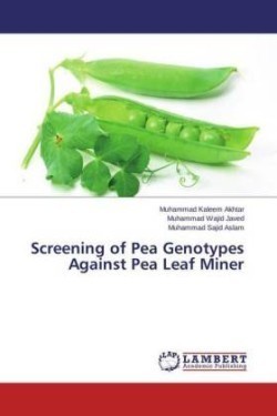 Screening of Pea Genotypes Against Pea Leaf Miner