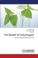 Wealth of Chhattisgarh