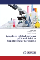 Apoptosis related proteins p53 and Bcl-2 in hepatocellular carcinoma