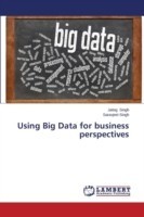 Using Big Data for business perspectives