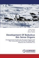 Development Of Bubulcus Ibis Sense Organs